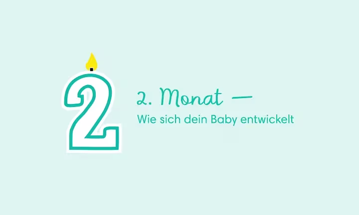 Geburtstagskerze in Form der Zahl 2 – 2. Monat: Wie sich dein Baby entwickelt