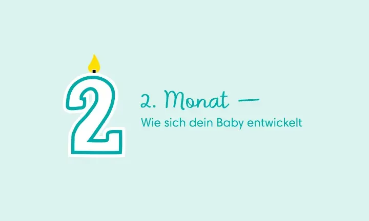 2. Monat