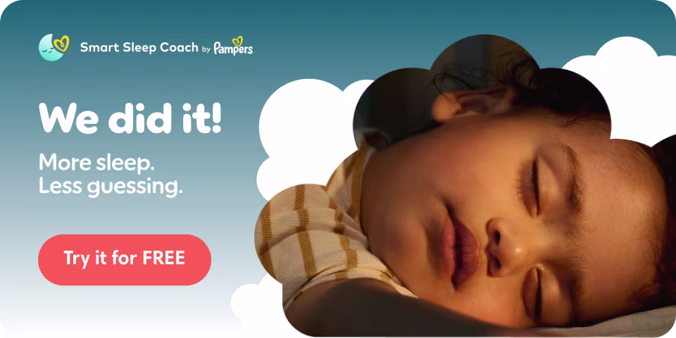 SSC Banner 4