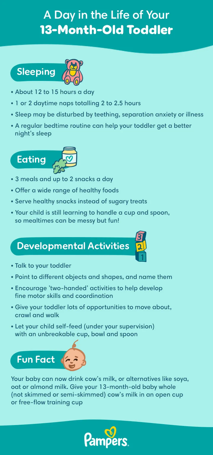 A Day in the Life of Your 13-Month-Old Toddler
