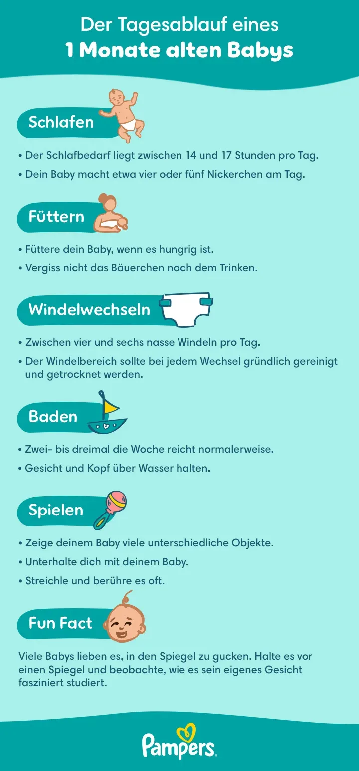 Tagesablauf 1. Monat