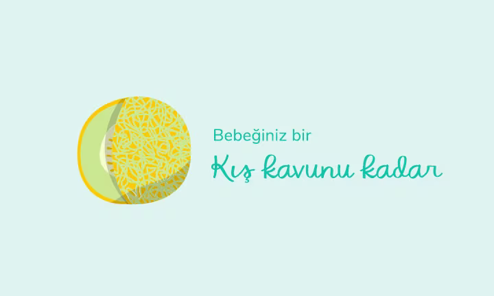 Your baby is the size of a honeydew melon