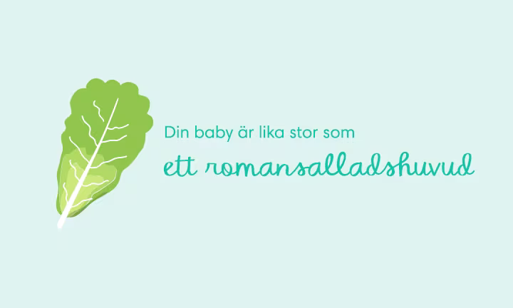 Week 36 pregnancy