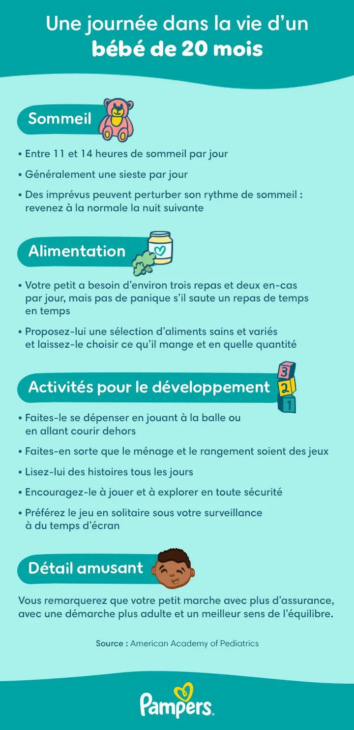 Journée type d'un tout-petit de 20 mois