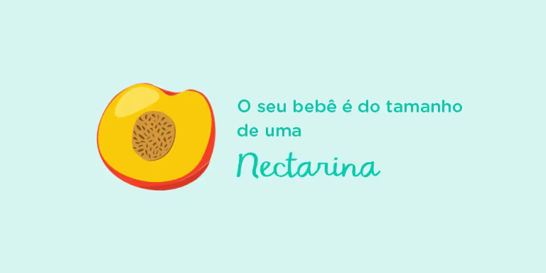 Your baby is the size of a nectarine