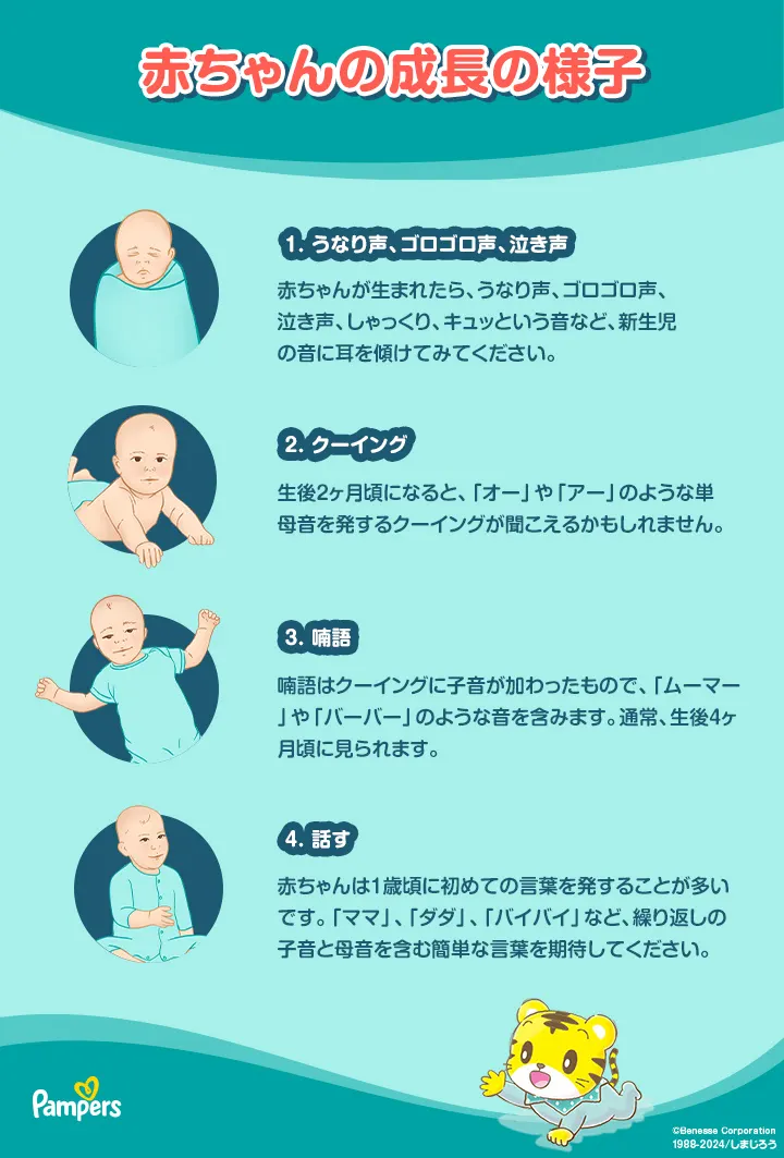 赤ちゃんの成長の様子 赤ちゃんの成長の様子