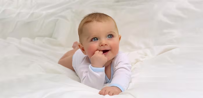 Desarrollo del sexto mes de la guagua