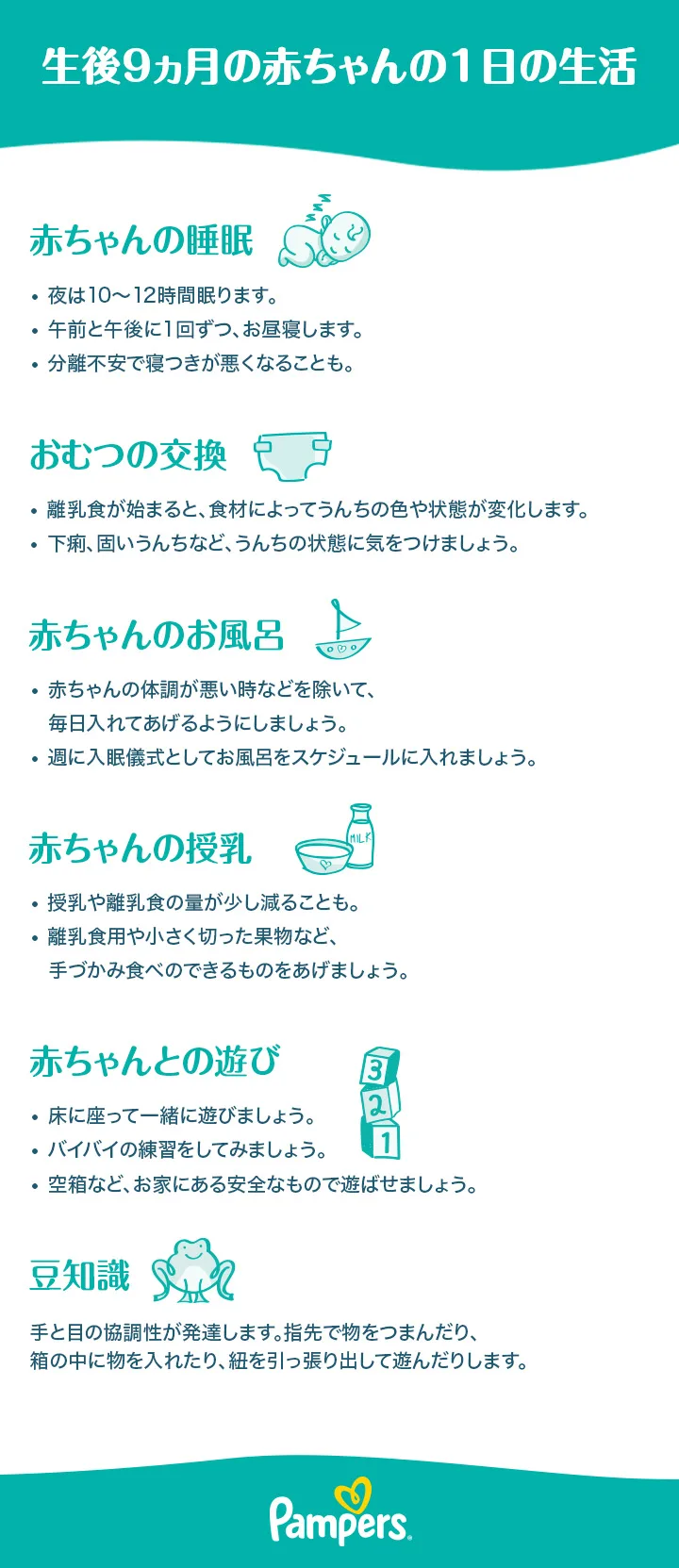 生後 9 ヶ月 スケジュール 生後 9 ヶ月 スケジュール