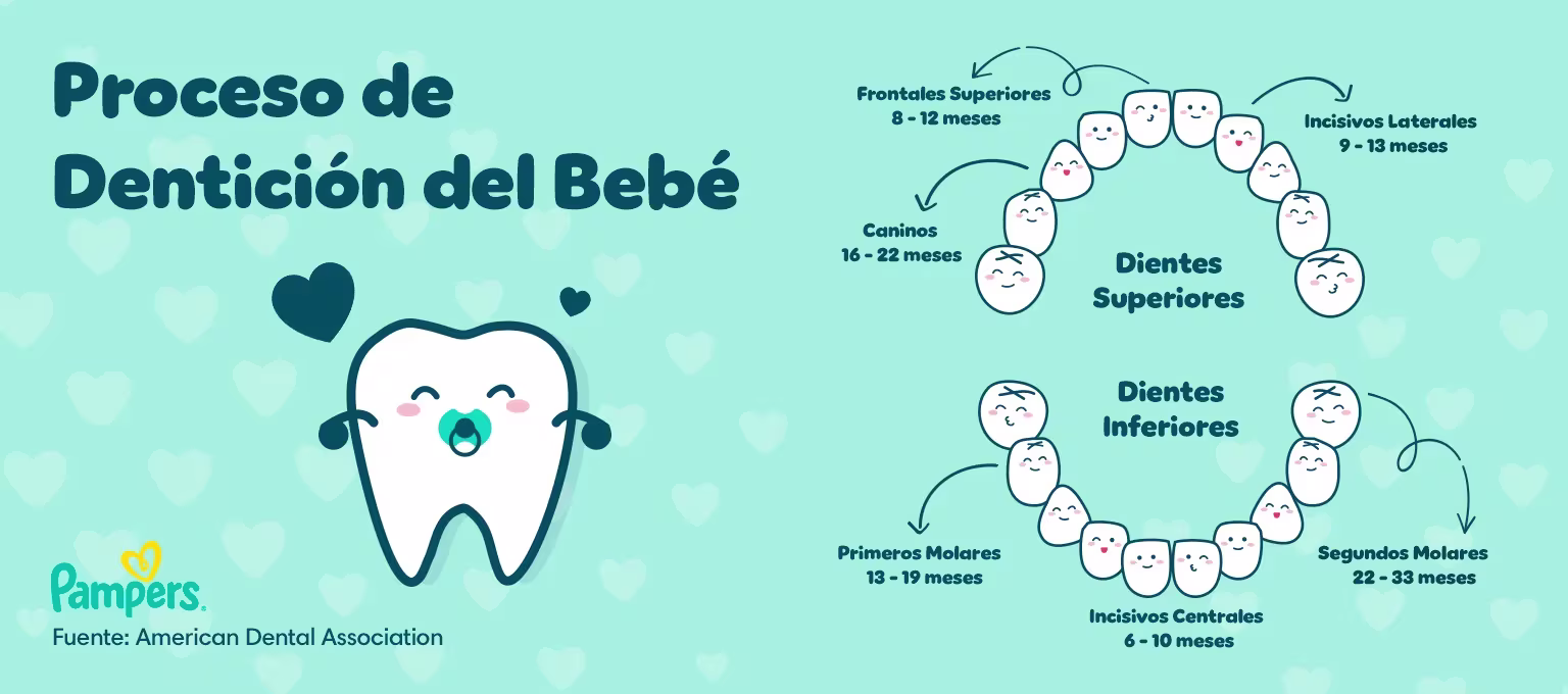 Proceso de dentición del bebé