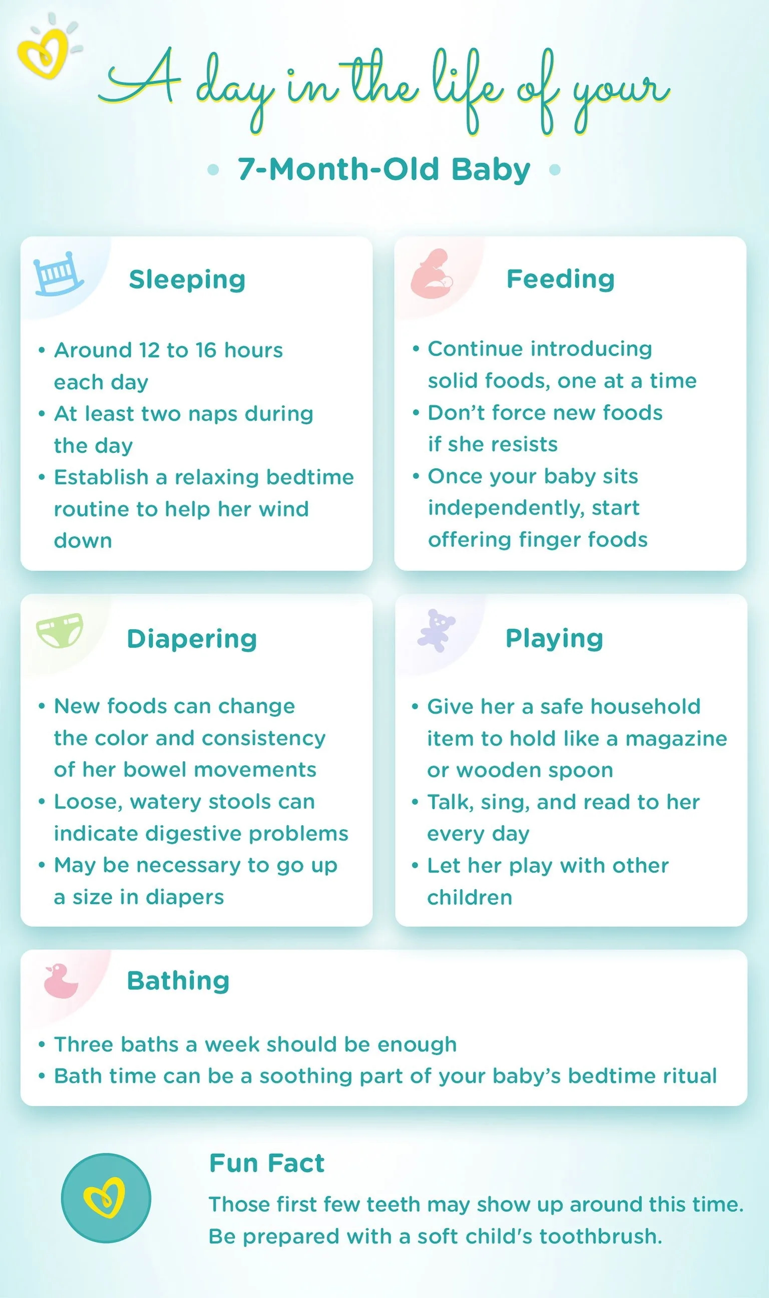 7_month_old_Daily-Routine-Infographic-Recovered_1536px_width
