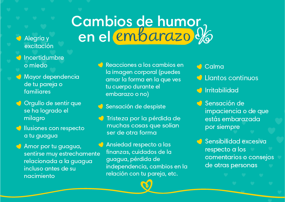 Seguimiento Tercer Trimestre Pruebas Semana 20 Embarazo Ingresa