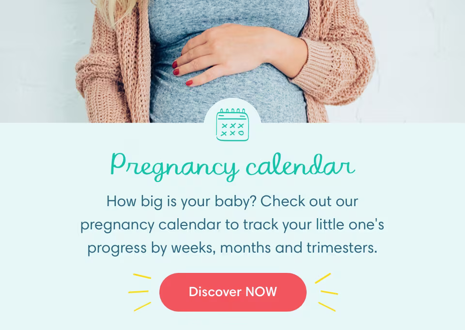 Pregnancy calendar