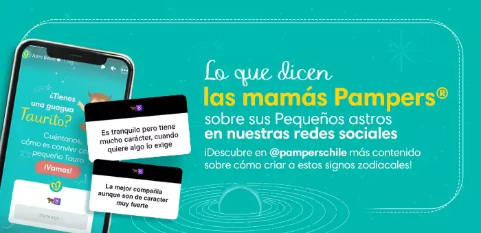 ehub pam horbb TauroCH 700x340