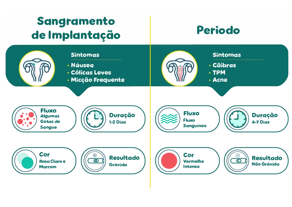 Período Menstrual