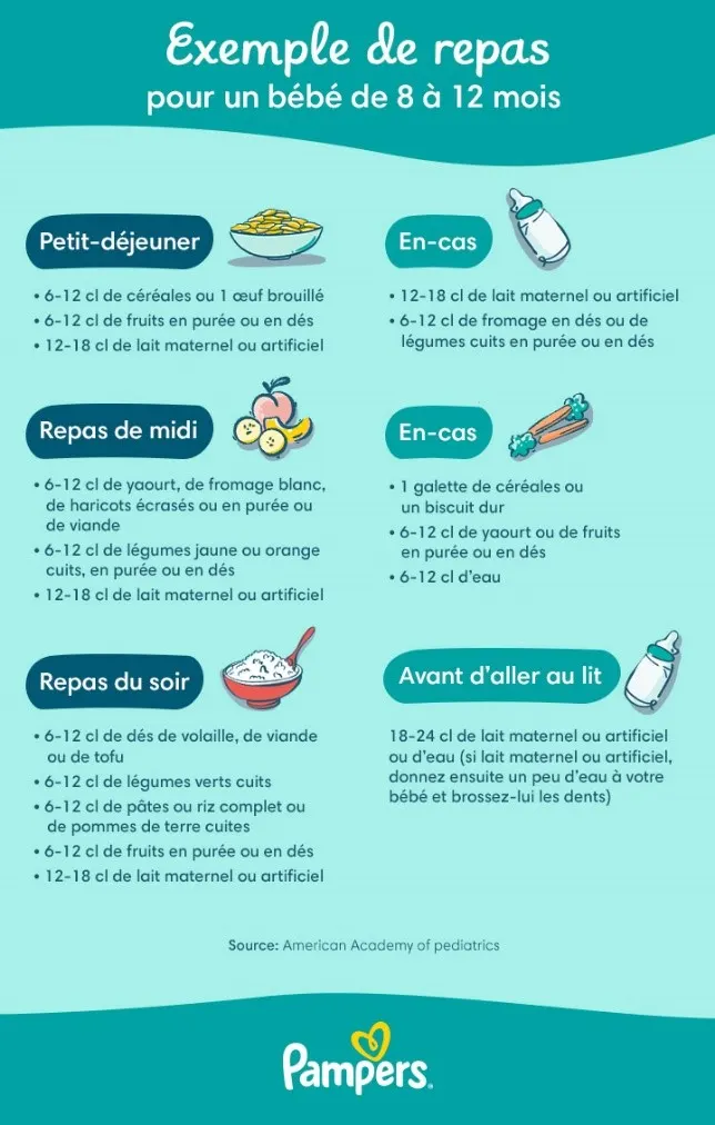 Exemple de repas pour les bébés de 8 à 12 mois