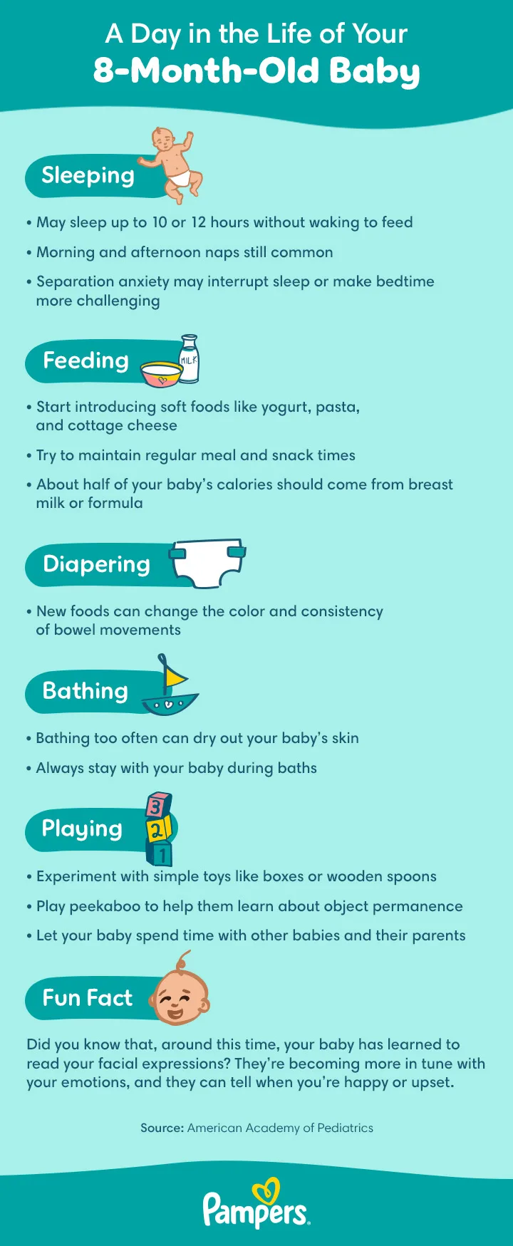 8 month old baby milestones and schedule