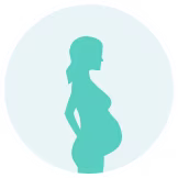 Third Trimester of Pregnancy