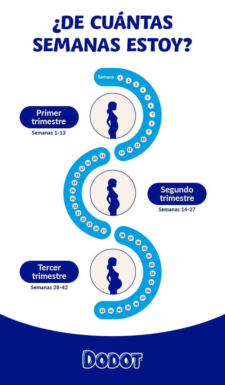 ES Dodot How Far Along Am I 720 20240321