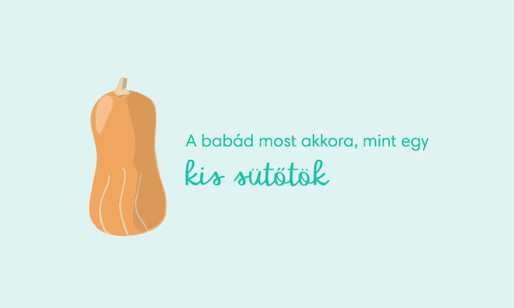 pregnancy-week-by-week-week-29