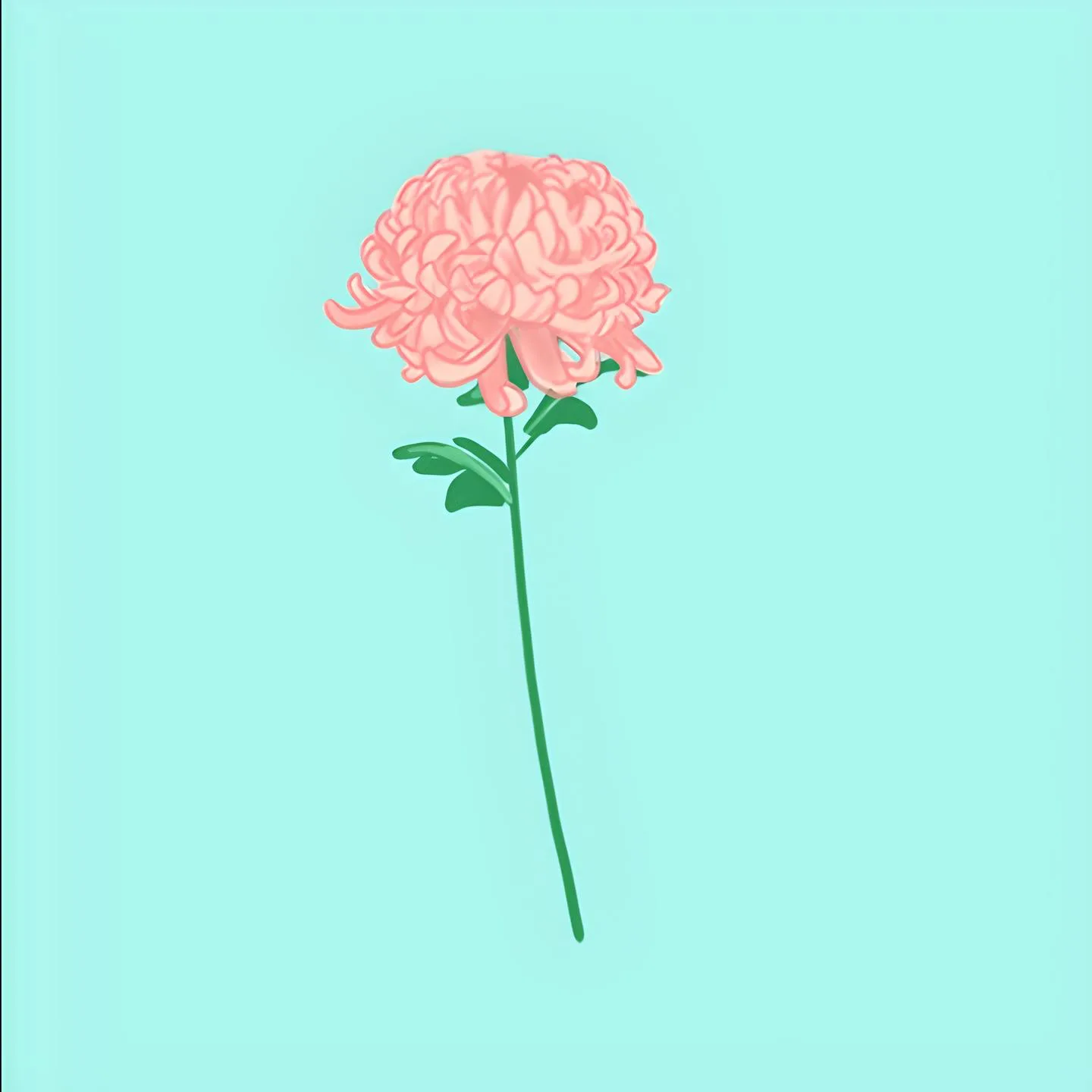November Birth Flower