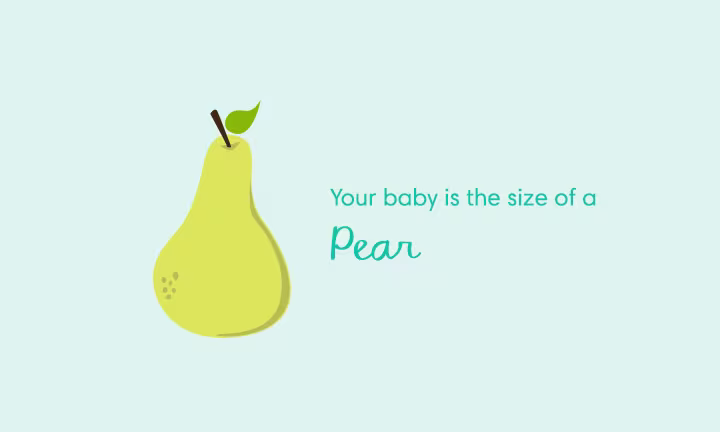 Your baby is the size of a pear