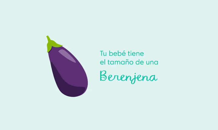 23 semanas de embarazo