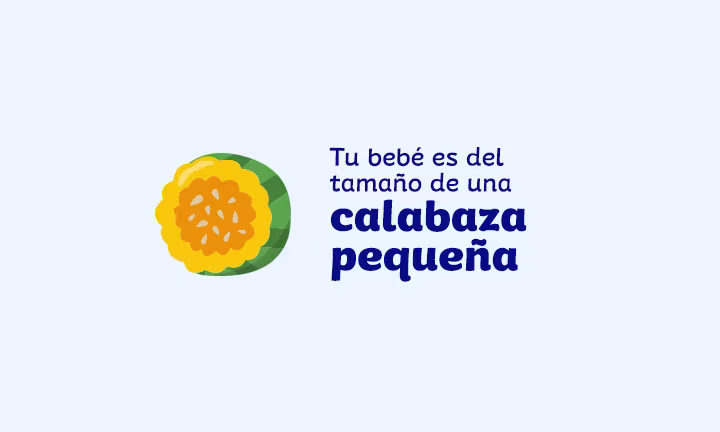 Semana 25 de embarazo