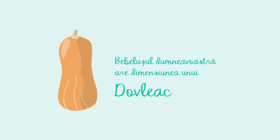 pregnancy-week-by-week-week-29