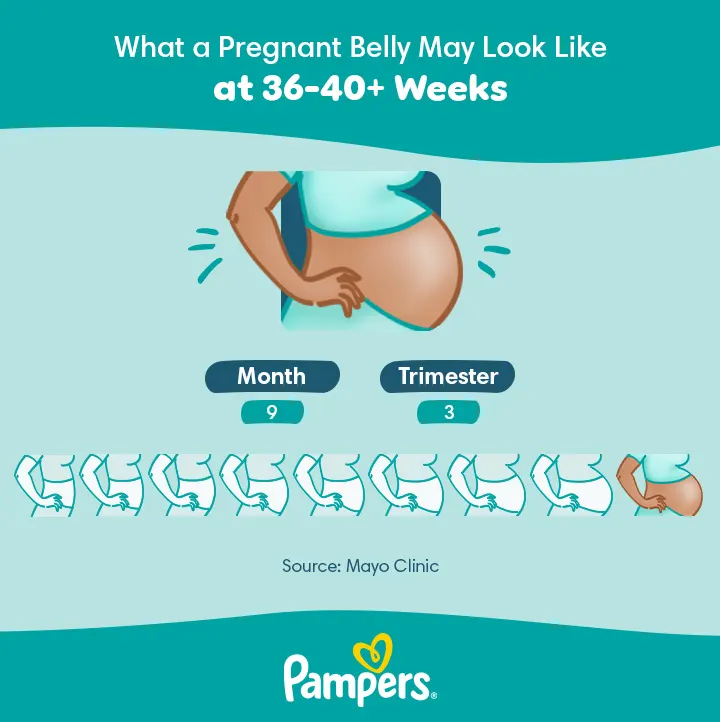 38 weeks pregnant belly US Pampers Belly Growth 9 month