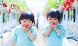 双子が生まれる確率は?