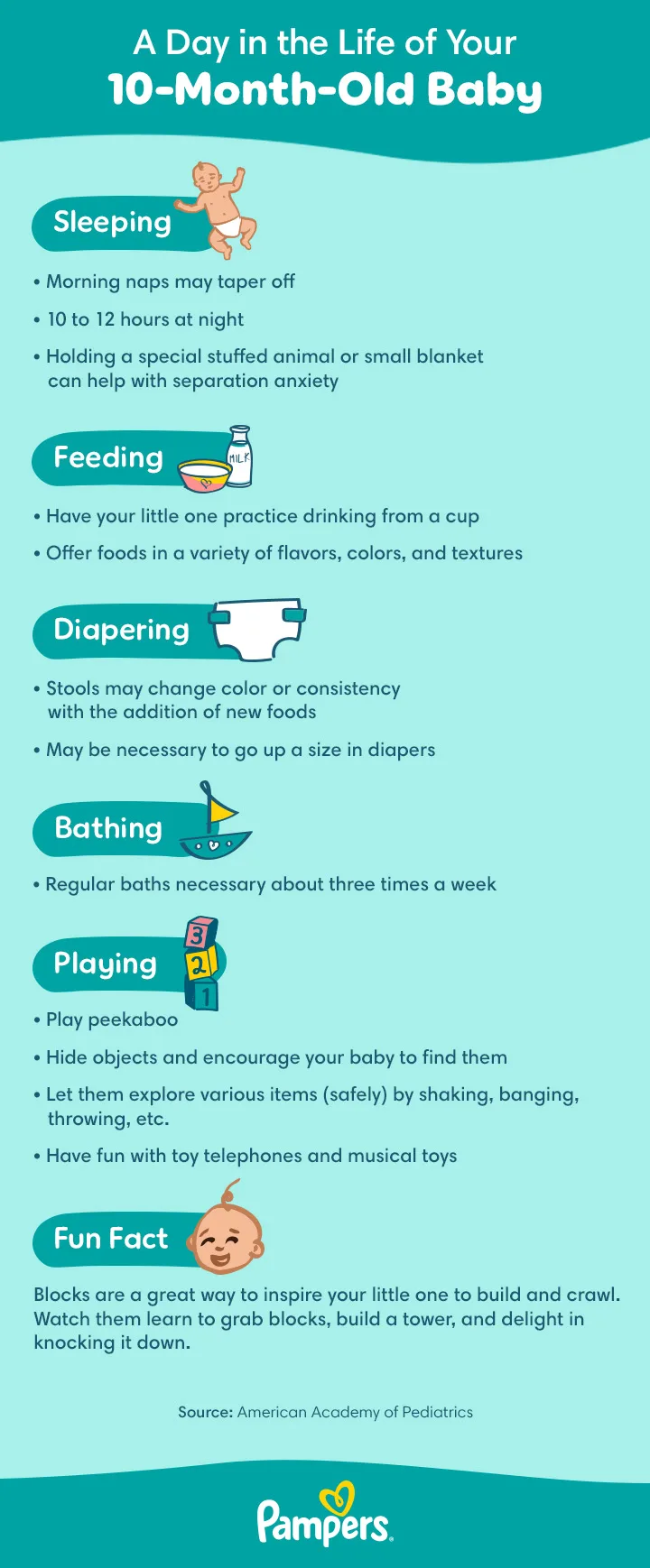 10 month old baby milestones and schedule 10 month old baby milestones and schedule