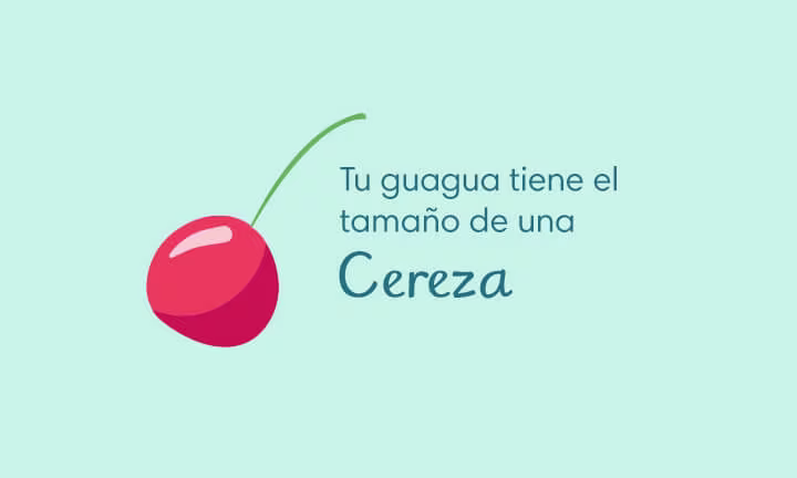 9 Semanas de Embarazo