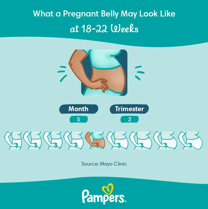 pregnancy belly at 19 weeks pregnant pregnancy belly at 19 weeks pregnant