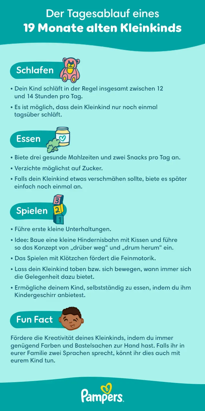 Tagesablauf 19. Monat Tagesablauf 19. Monat