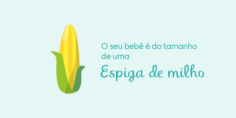 Your baby is the size of an ear of corn