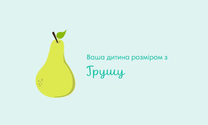 pregnancy-week-by-week-week-17