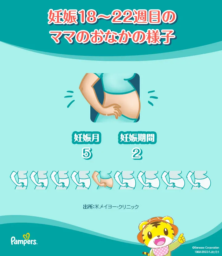 妊娠18週目のママのおなかはど