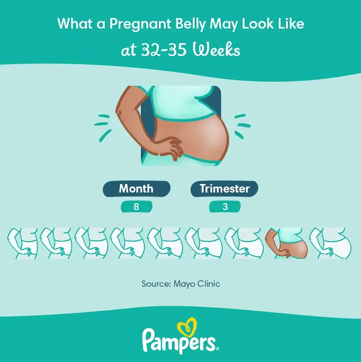 Belly Growth 8 month