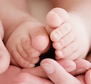 Dermatologicamente testadas