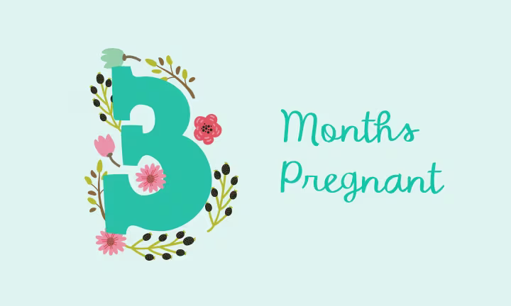 3 Months Pregnant