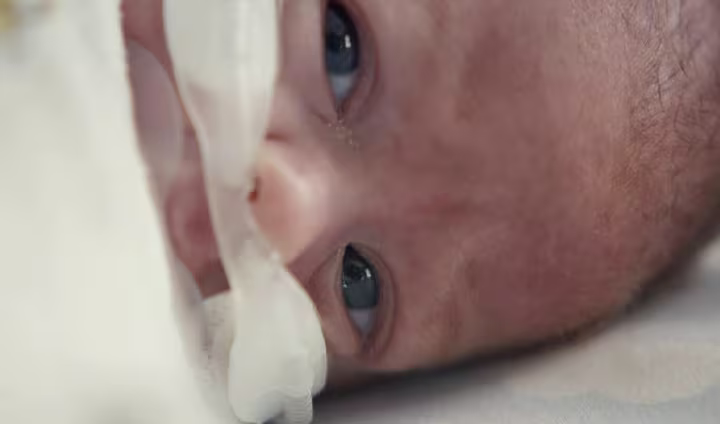 Dodot con los pequeños luchadores