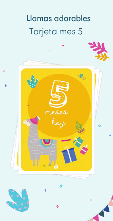 Tarjetas impresas para celebrar los 5 meses de tu bebé. Decoradas con alegres motivos que incluyen la adorable llama y una nota de celebración: ¡Hoy hace 5 meses!
