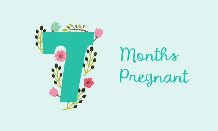 7 months pregnant