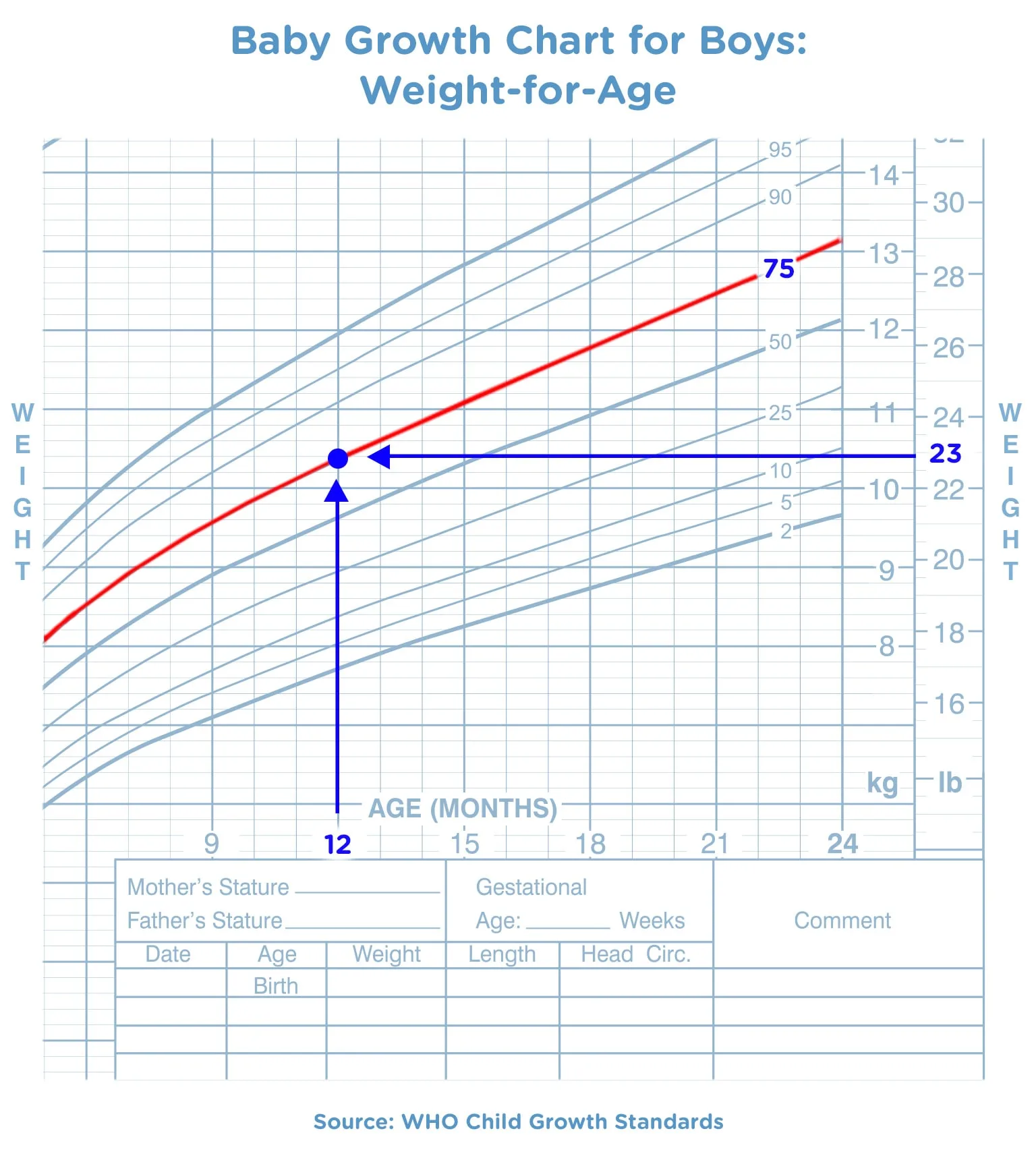baby growth chart-Article Content Image Baby-Growth-Chart-for-Boys--Weight-for-Age_1536x1720-min