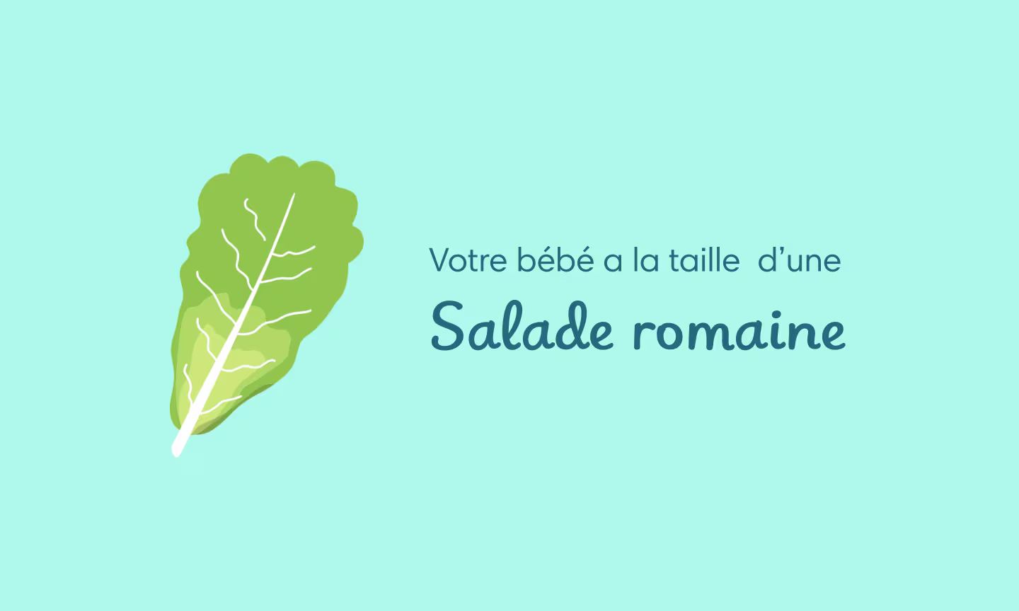 34 semaines de grossesse (36 SA)