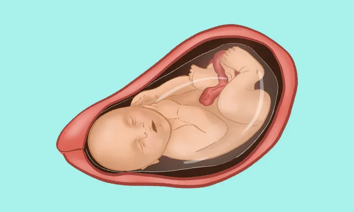 baby at 40 weeks pregnant