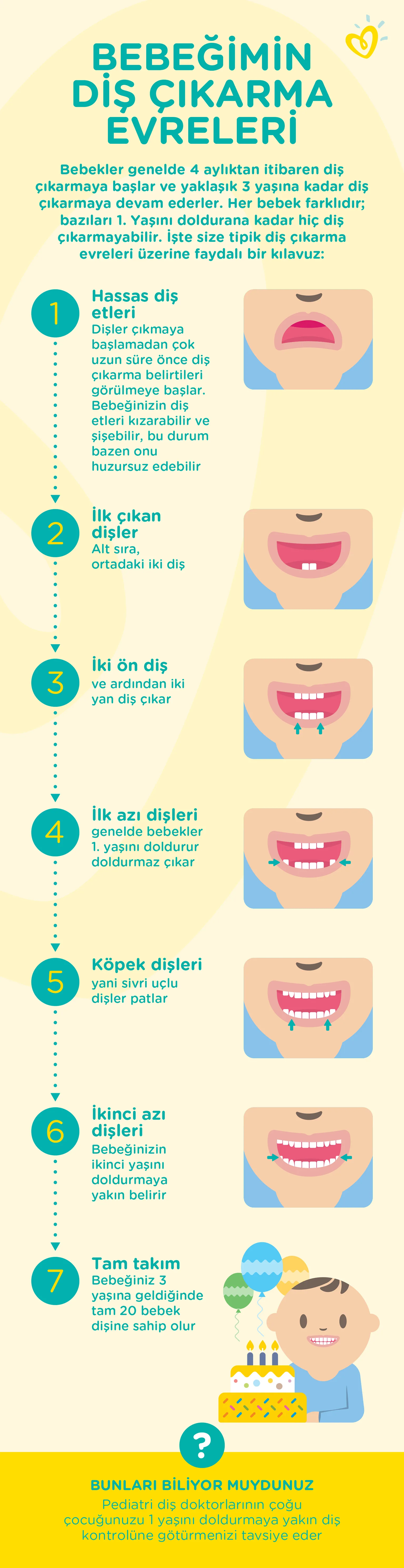 bebeklerde dis cikarma evreleri-Article Content Image PAMPERS_STAGES_TEETHING_Tk_1536_width1