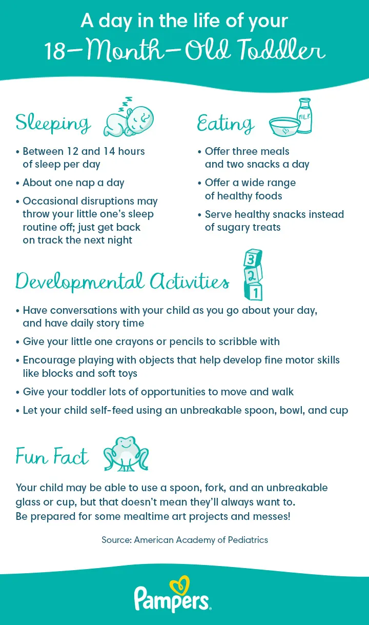 18-month-old daily routine 18 Month Old routine