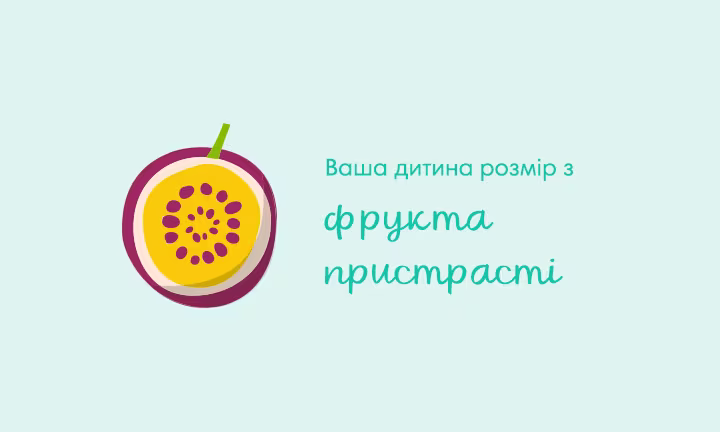 pregnancy-week-by-week-week-12