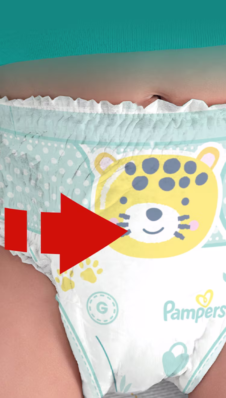 Cintura Elástica 360°